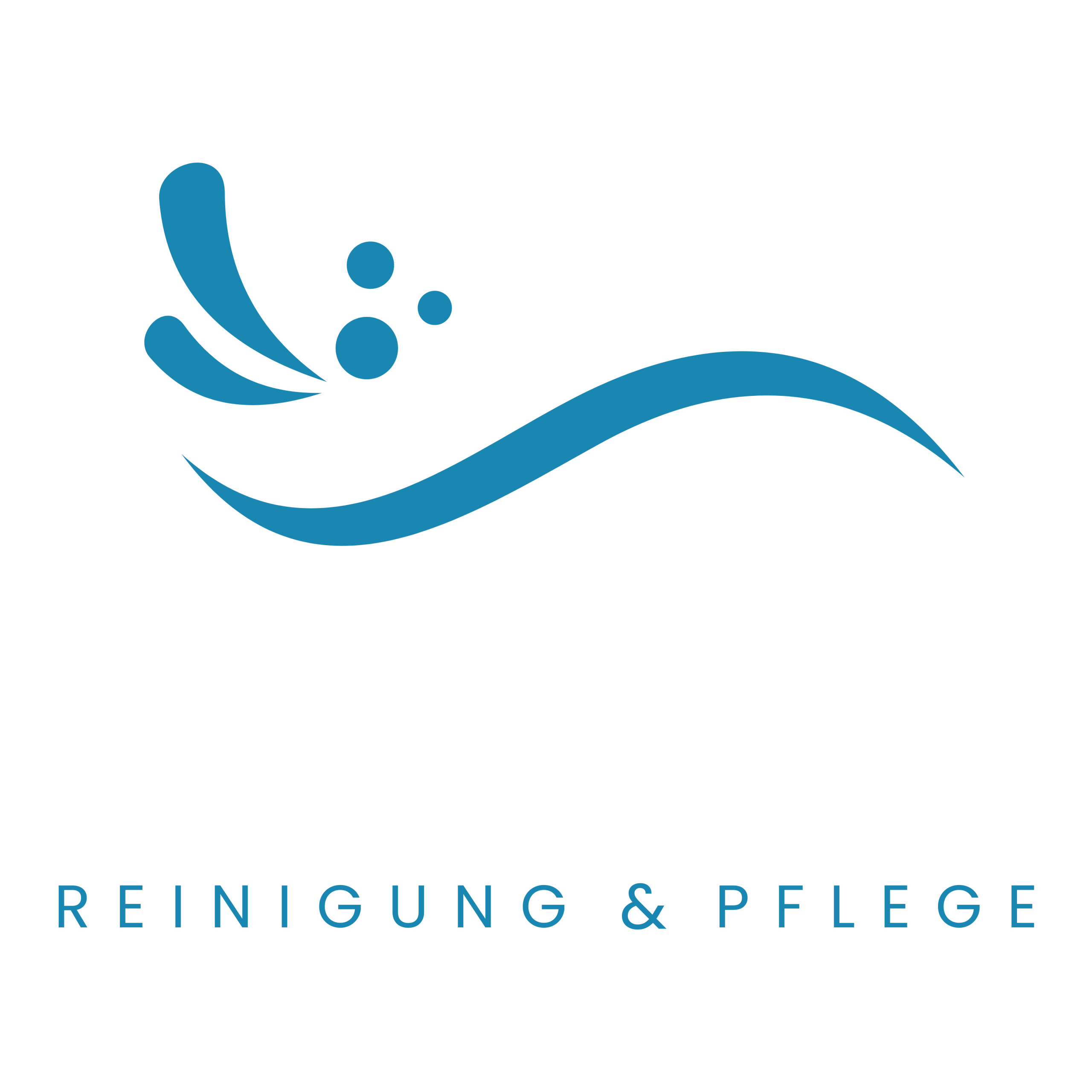 Zana Reinigung & Pflege